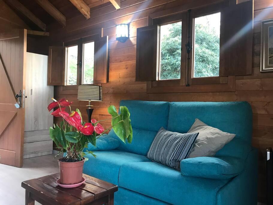 Cozy Mountain Chalet ลาโอโรตาวา ภายนอก รูปภาพ